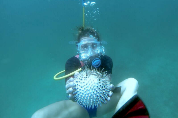 Scuba Diving - Image 8