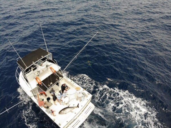 Half Day Sport Fishing Charters