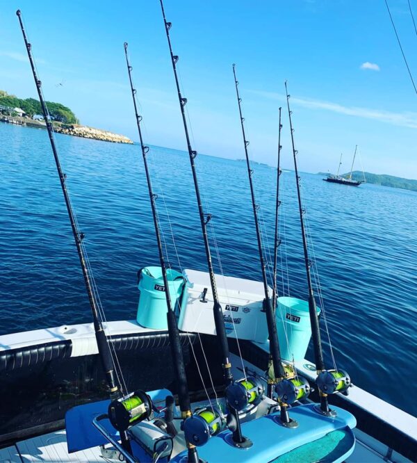 Half Day Sport Fishing Charters - Image 11