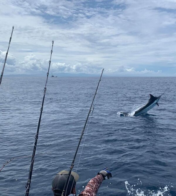 Half Day Sport Fishing Charters - Image 8