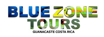 Blue Zone TOURS